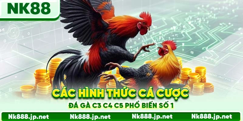 Các hình thức cá cược đá gà C3 C4 C5 phổ biến số 1