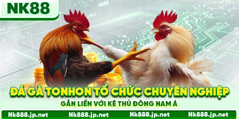 Đá gà Tonhon tổ chức chuyên nghiệp, gắn liền với kê thủ Đông Nam Á