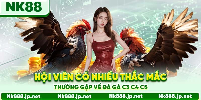 Hội viên có nhiều thắc mắc thường gặp về đá gà C3 C4 C5