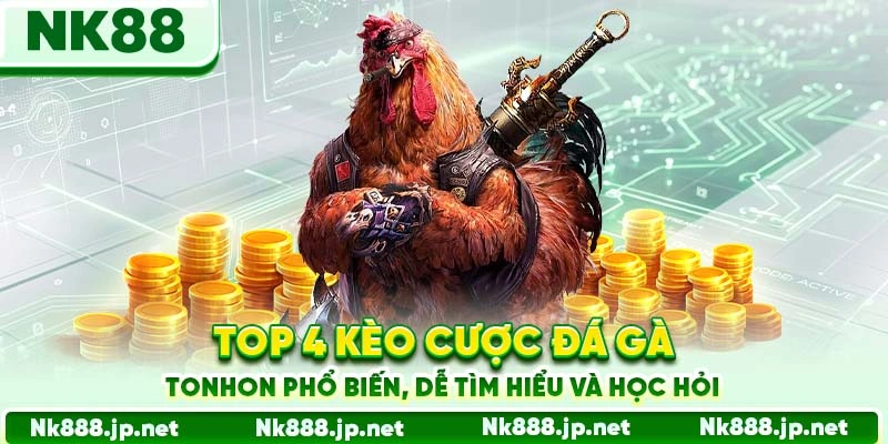 Top 4 kèo cược đá gà Tonhon phổ biến, dễ tìm hiểu và học hỏi